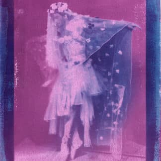 Pride Bride, Vicomte Harbourg