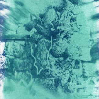 Dragon de Kiyomizudera